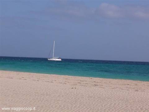 Cartolina...