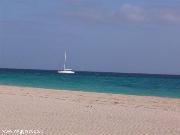 Cartolina...