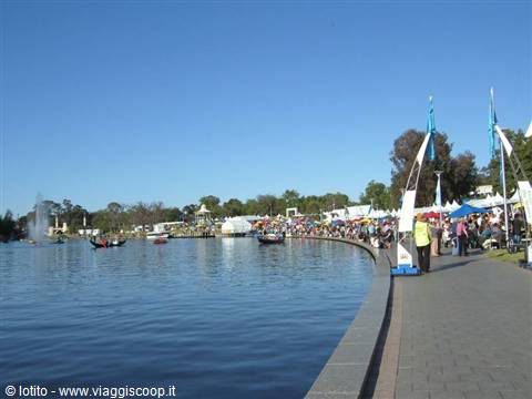 Adelaide: Festa del vino