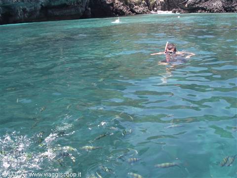 Io facendo snorkling - Ko Phi Phi