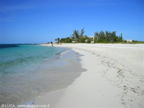 Spiaggia...o paradiso?!?