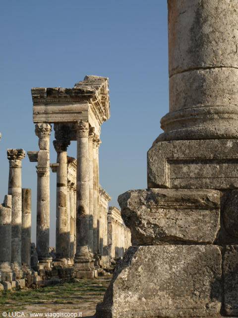 La meravigliosa Apamea...