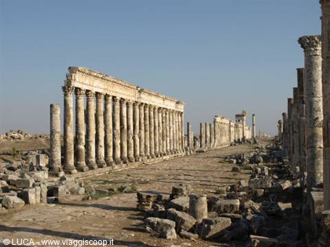 Apamea - Il lunghissimo cardo