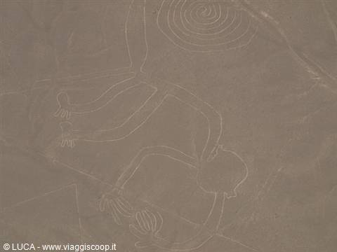 Linee di Nazca - La Scimmia