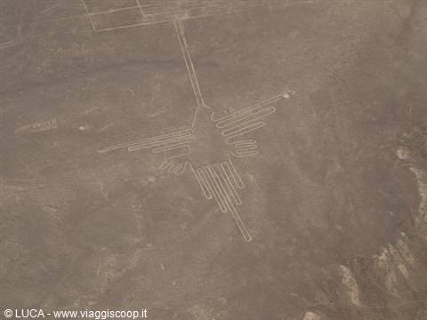 Linee di Nazca - Il Colibrì