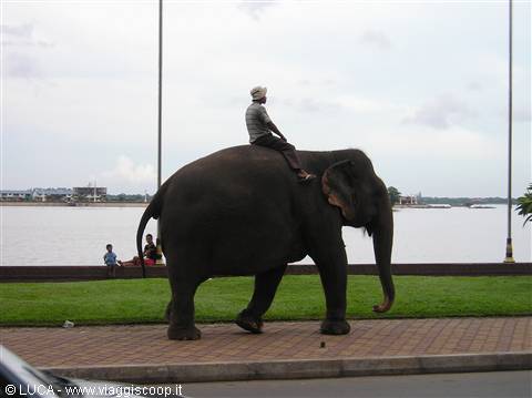 P.P. - traffico sulle strade della capitale...