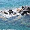 Mare ITALIA 