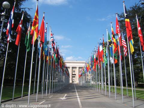 Entrata ONU