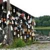 York beach - Boe  STATI UNITI D'AMERICA 