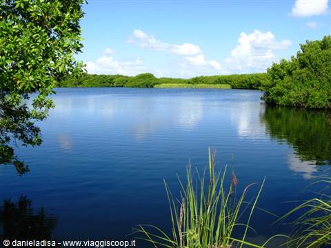 Everglades
