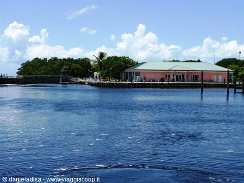 Flamingo Marina