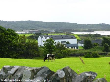 Distilleria Ardbeg