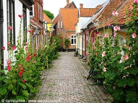RIBE