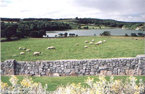 Ennis, veduta dal bed & breakfast