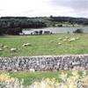 Ennis, veduta dal bed & breakfast IRLANDA 