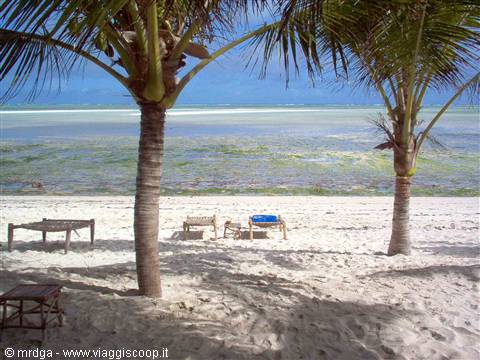 la spiaggia del Jacaranda