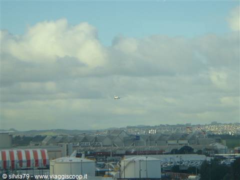 welcome to Auckland!
