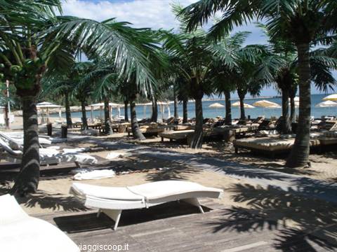 spiaggia kitsch a Varna con palme di plastica