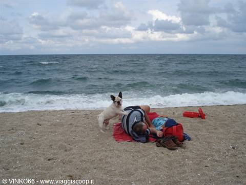 scena comica in spiaggia a Sinemorets