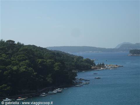 scorcio marino