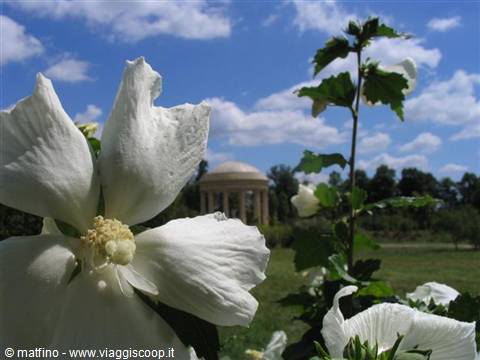 Versailles. Tempio dell'amore