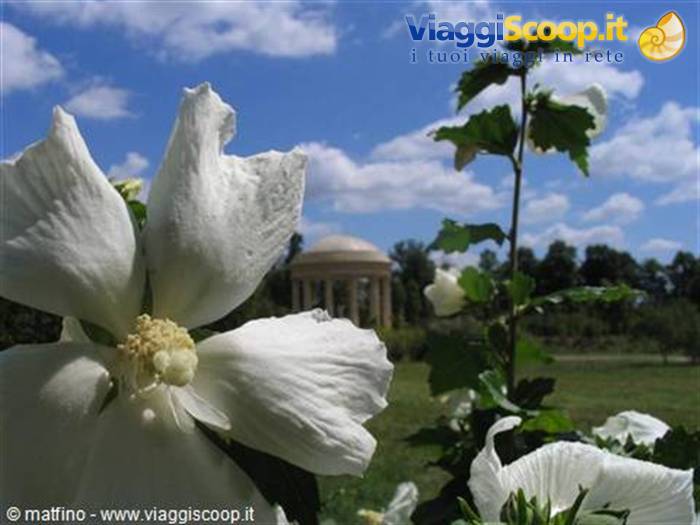 Versailles. Tempio dell'amore