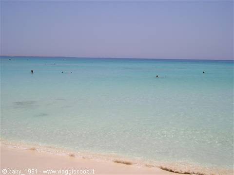 Isola di Giftun