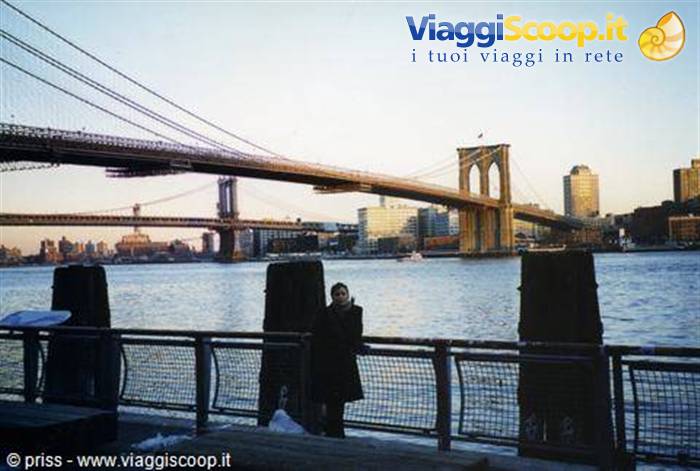 Foto di viaggio in STATI UNITI D'AMERICA