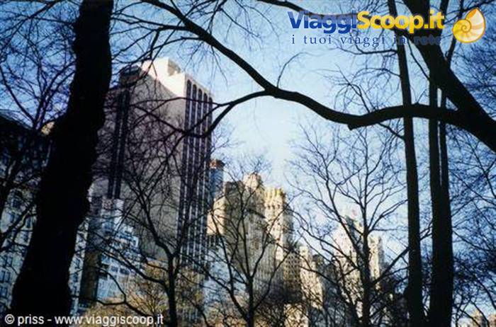 Foto di viaggio in STATI UNITI D'AMERICA