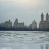 Una giornata glaciale a Central Park STATI UNITI D'AMERICA 