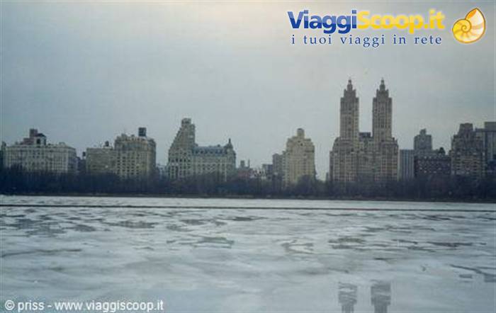 Una giornata glaciale a Central Park
