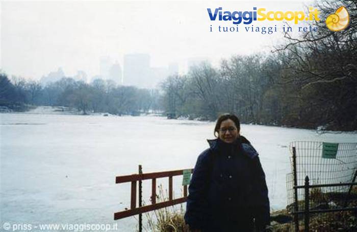 Foto di viaggio in STATI UNITI D'AMERICA