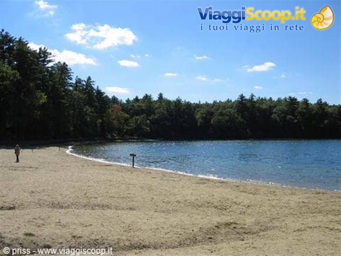 Il lago di Walden