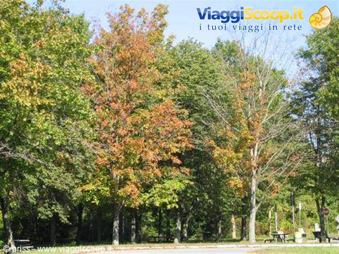 parlavamo di indian summer...