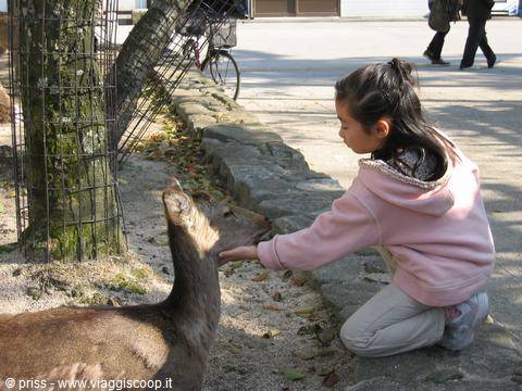 bambina con Bambi