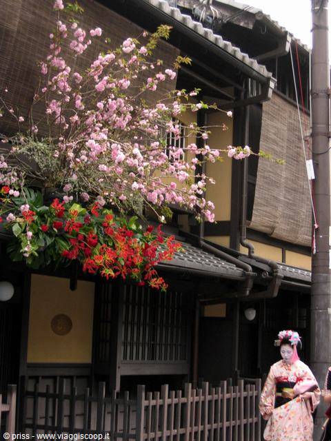 una vera maiko