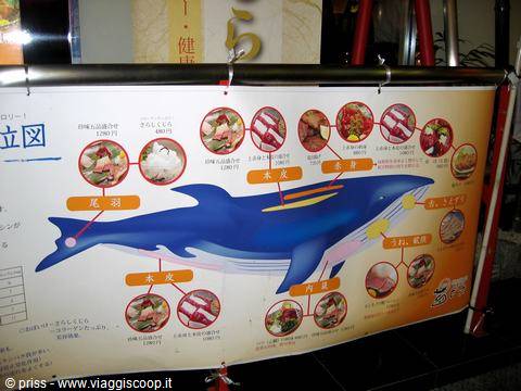 qui si mangia la balena... nooooooooooooo non lo fate!!!!