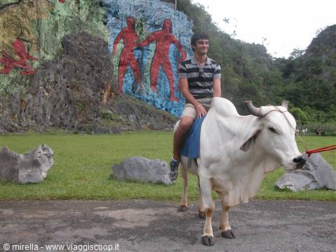 PINAR DEL RIO