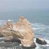 paracas PERU' 