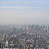 Vista dall Empire State Building STATI UNITI D'AMERICA 