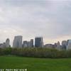 CENTRAL PARK STATI UNITI D'AMERICA 