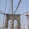 PONTE di BROOKLIN  STATI UNITI D'AMERICA 