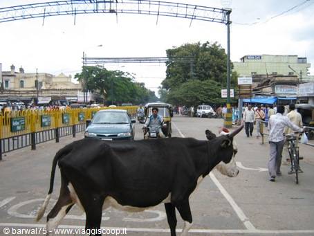 strada di Mysore