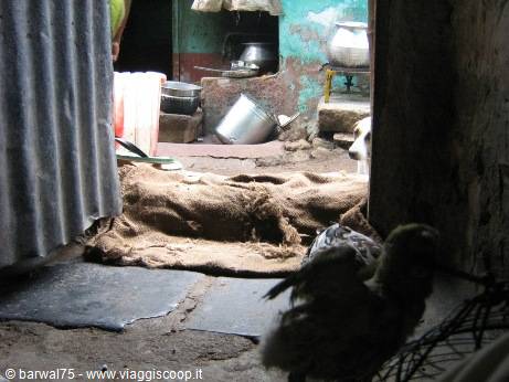 MADURAI:Vista dall'interno della casa di Ganesan junior 