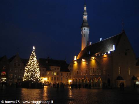 Tallin by night