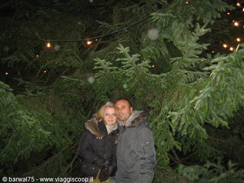 Romantic photo...