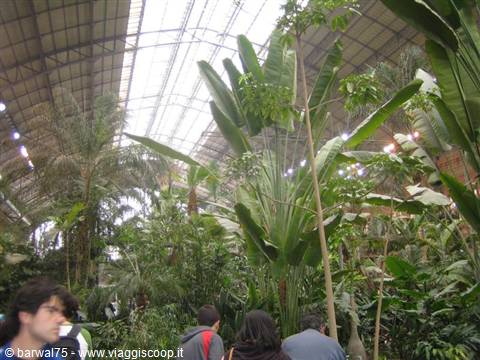 Atocha