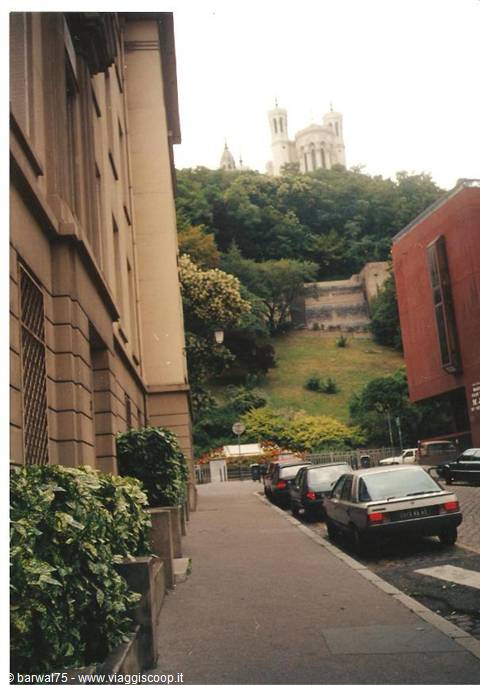 Lione