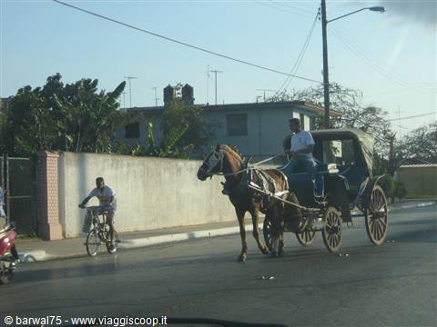 Cardenas