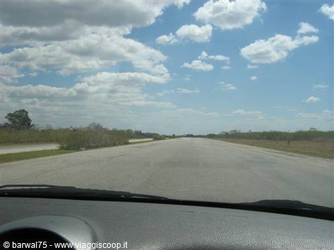 Autopista N°1